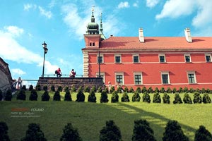 湖人队新援表现亮眼，助球队取得胜利