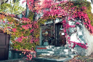 澳大利亚游泳选手打破世界纪录：速度与心灵的双重胜利