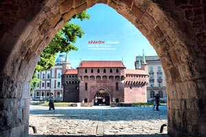 澳大利亚游泳选手打破世界纪录：速度与心灵的双重胜利