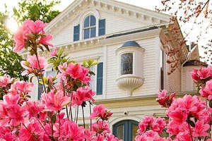 澳大利亚游泳选手打破世界纪录：速度与心灵的双重胜利