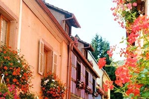 澳大利亚游泳选手打破世界纪录：速度与心灵的双重胜利