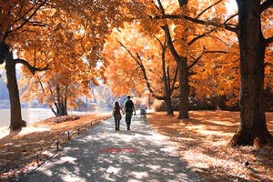 澳大利亚游泳选手打破世界纪录：速度与心灵的双重胜利