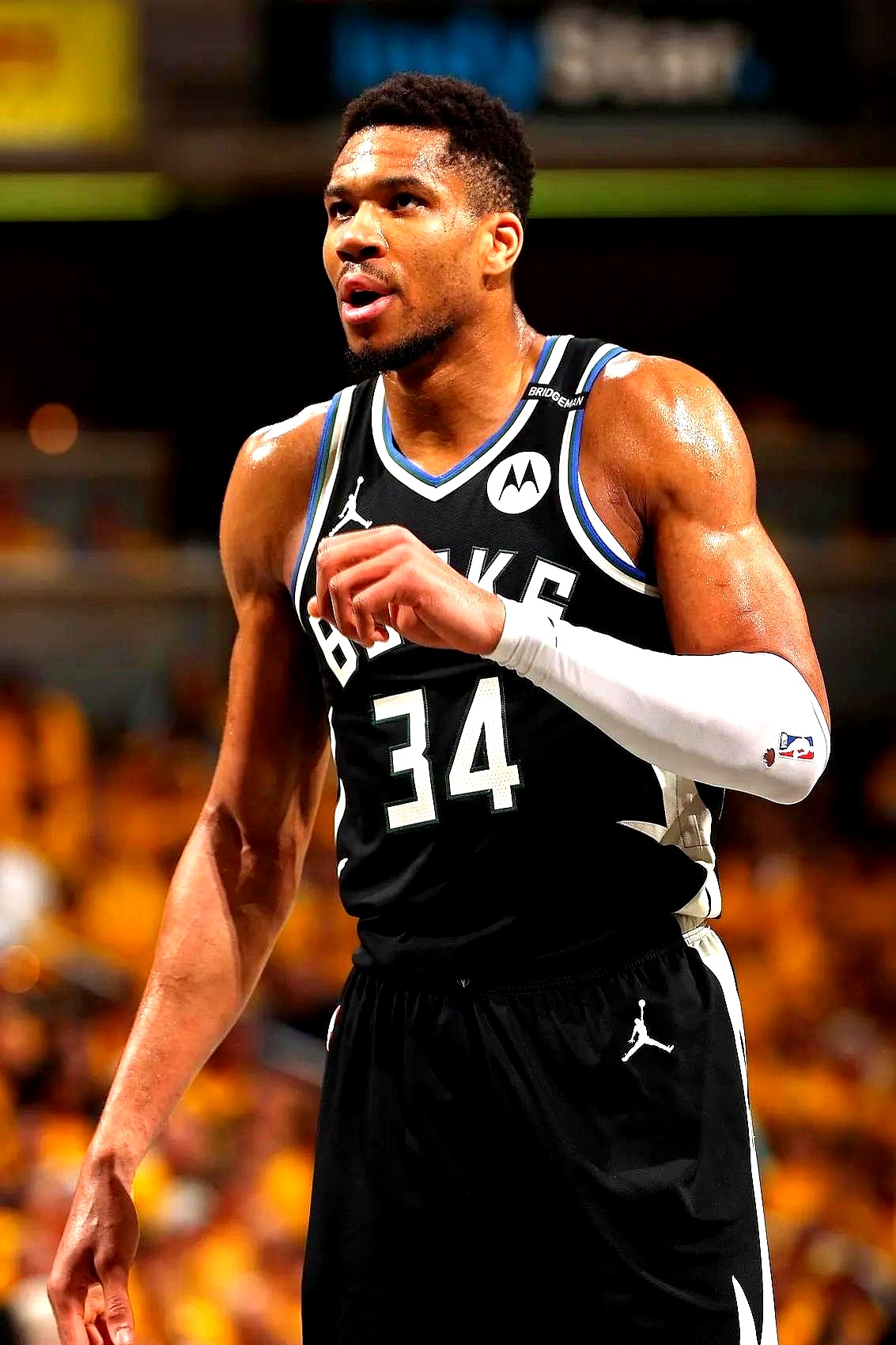 关于雄鹿擒小牛,字母哥全面发挥独得分的信息 关于雄鹿擒小牛,字母哥全面发挥独得分的信息