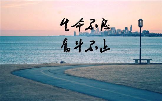 关于披荆斩棘,队员奋勇争先锋芒耀眼的信息